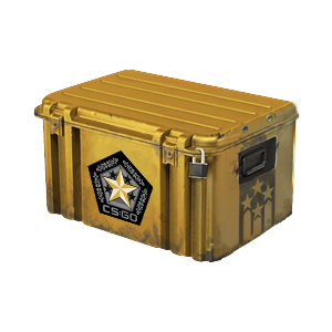Gamma 2 Case